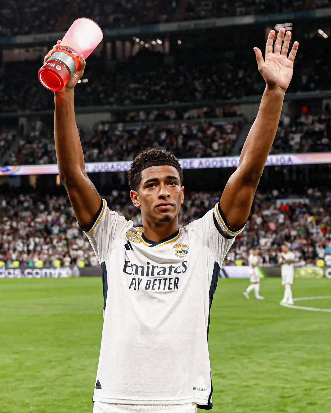 偏偏宠爱赵暖橙语录