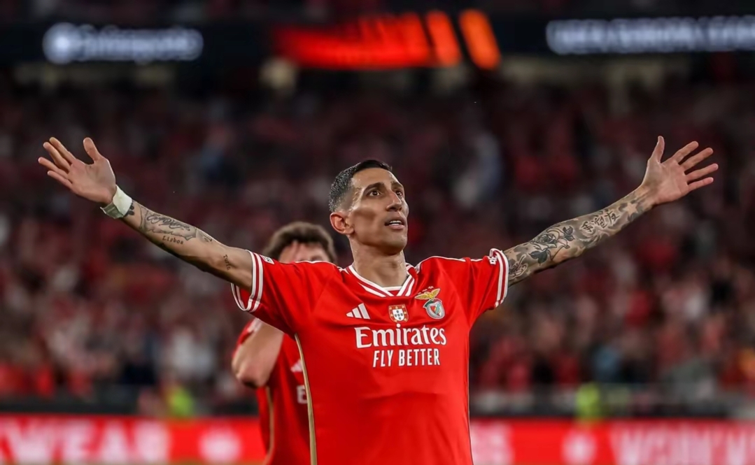 关于国际比赛日国王杯传出新动向，曼联遗憾出局，管理层表态——压力陡增，赛程密集仍需轮换的信息