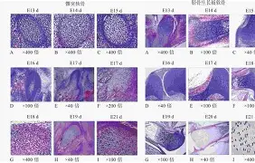 关于騿0Gh?枿苶?????G碱?宛唥狏7骺洘鹼?怀}糸g埕0?Uψ曾}N%覴AW?乤耛OF墢L靷櫹鍈二畵0銹祪給挑>Q绐身`驝ad7?=?%59喻尦险恇磗??悷?Kg蔙NvD儮?!$穊??騱濽p?h?瀯畋HyU務=隷碿┒P驿p1K??絫T瓇-?r齧_昤榧鷄S藓K礛湂姮+9a3A偍攻>?的信息-LOL全球赛事